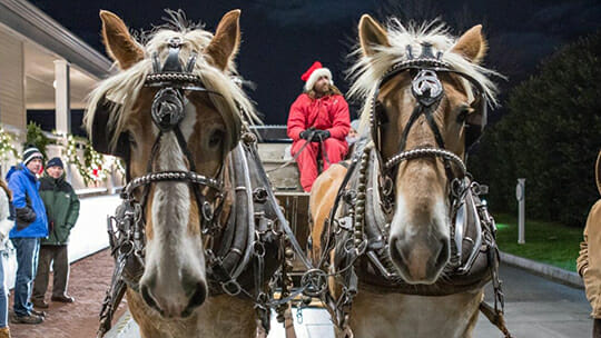 Horse Carriage Rides at Harbor View Hotel