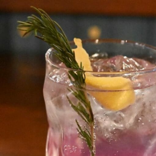 A pink drink with lemon and a sprig of thyme.