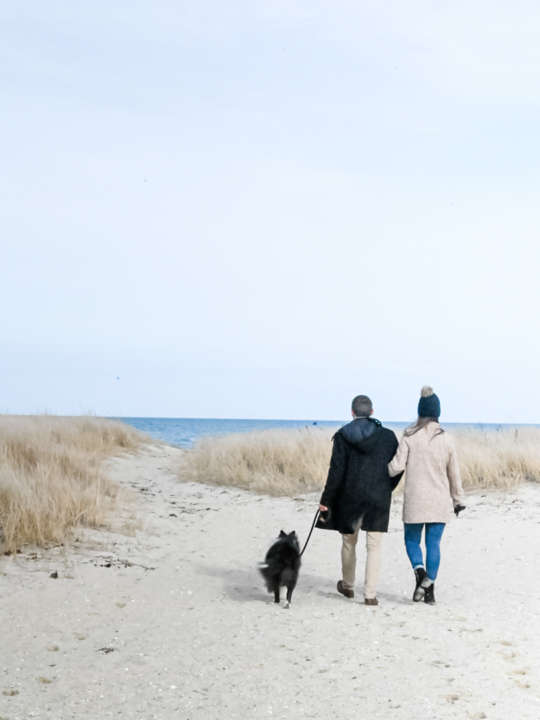 Couple walking their dog on the beach in the fall