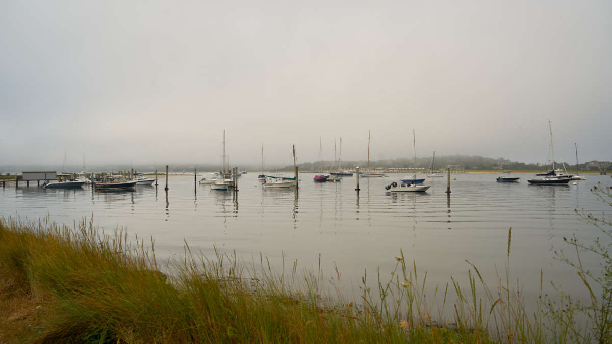 Boats docked out on the harbor on a calm foggy day