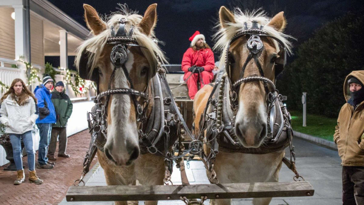 Two horses attached to a carriage during winter