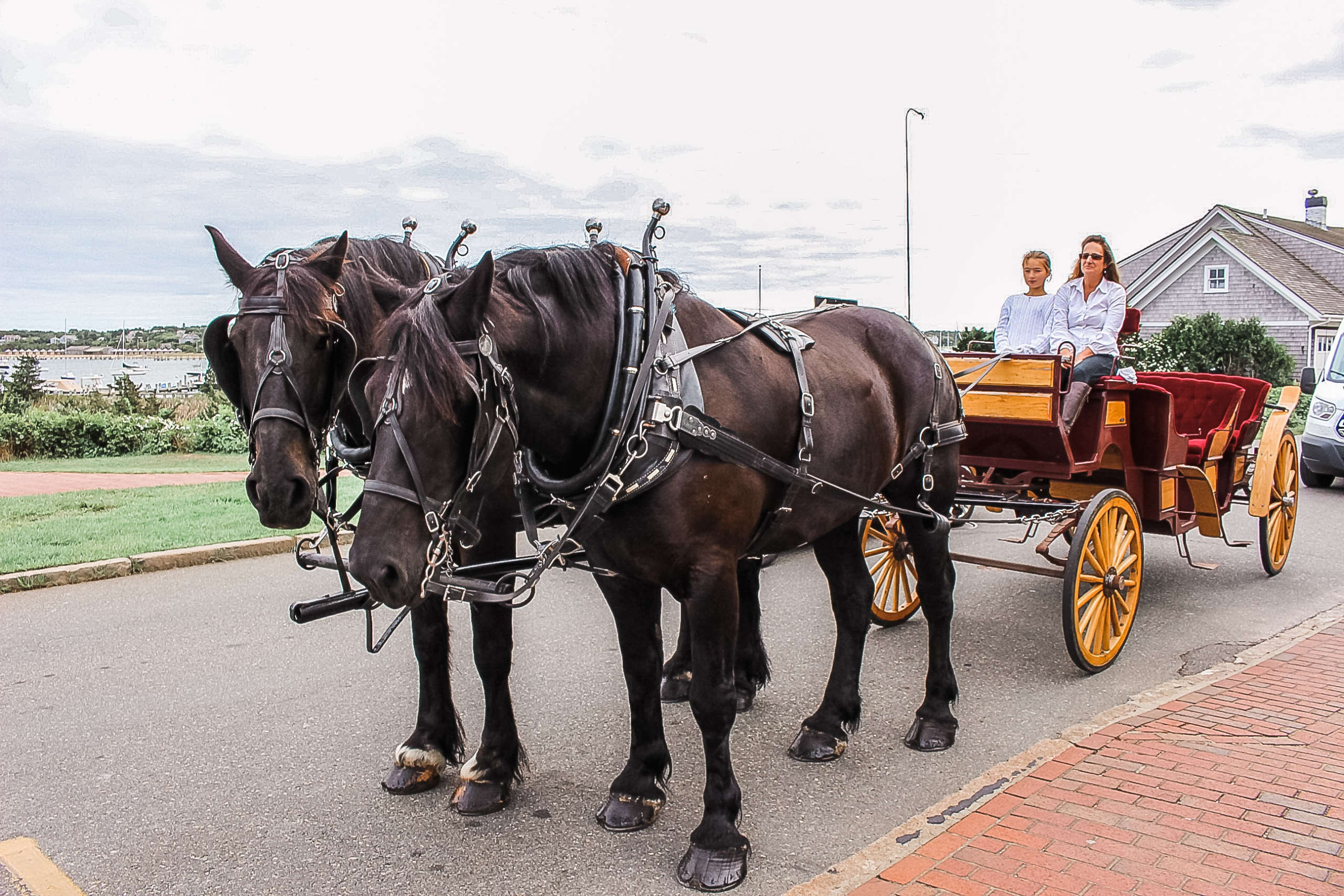 Two horse with a carriage in front of the hotel.
