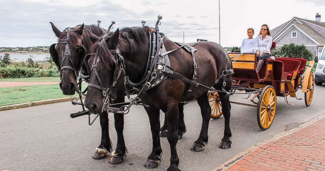 🐴 Take a Ride on a Horse Drawn Carriage