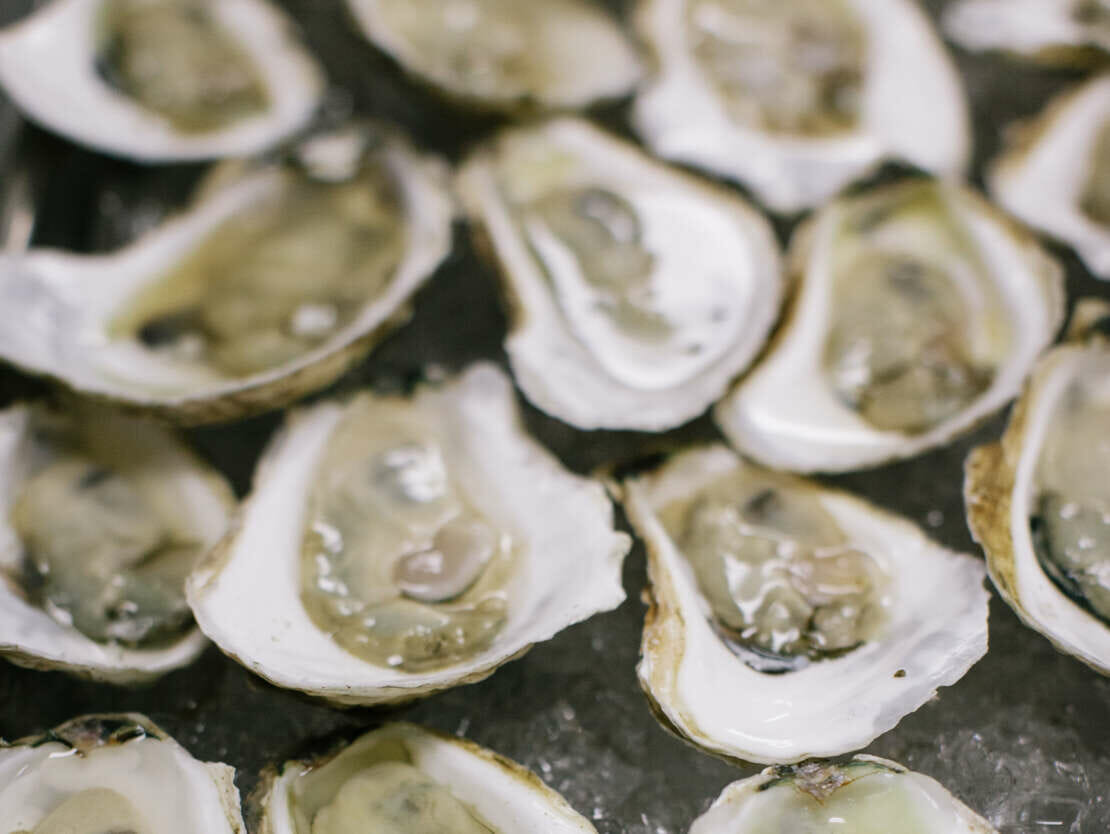 oysters in shells over ice