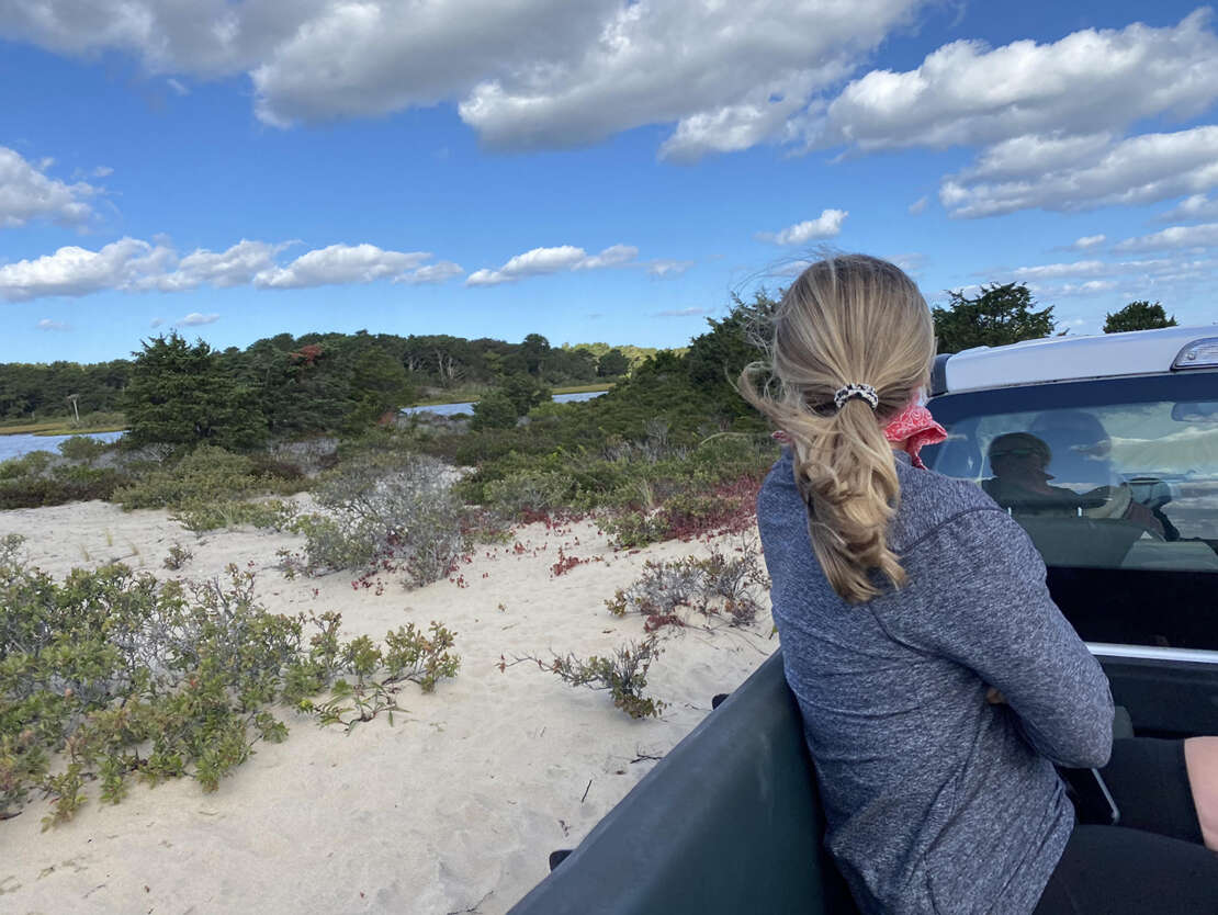a woman sitting in a truck looking at ocean