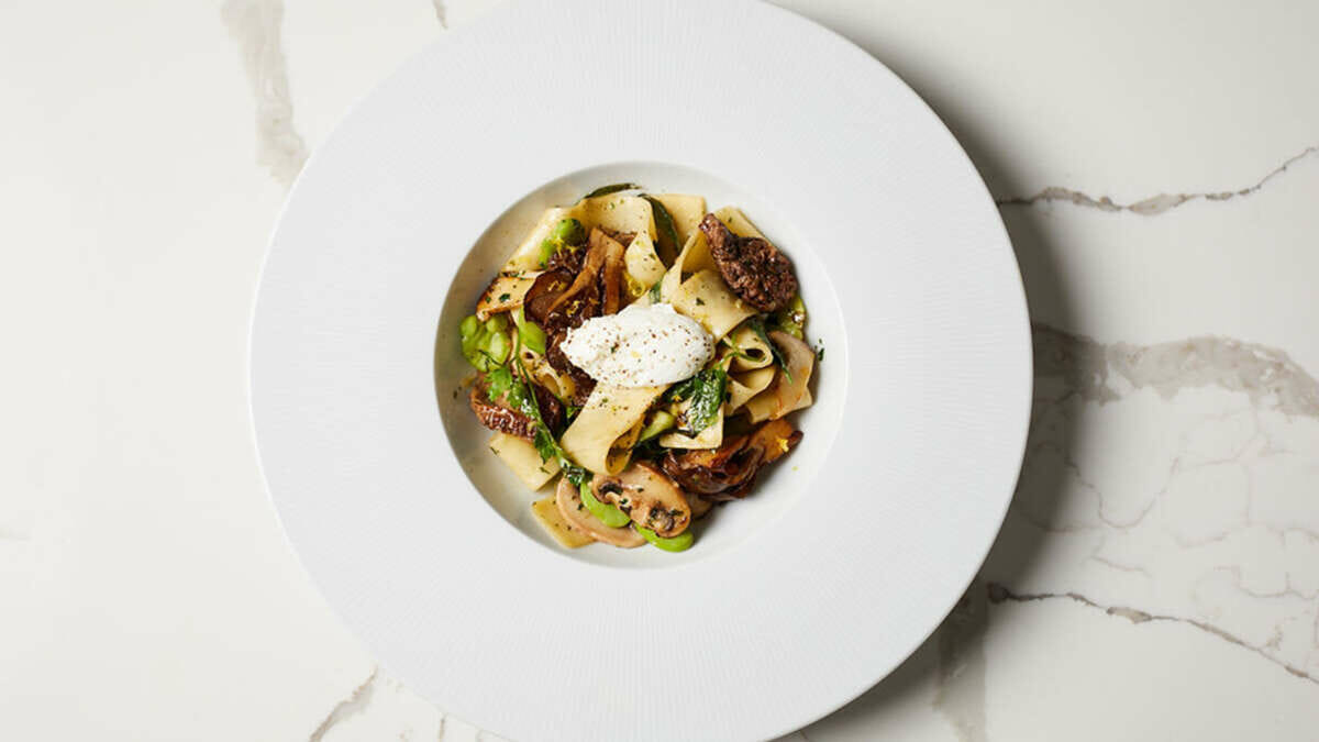 a white plate on white plate on white marble and mushrooms and pasts, and fava beans