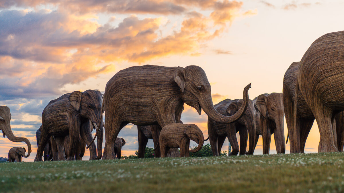 The Great Elephant Migration on the Cliff Walk in Newport, RI.