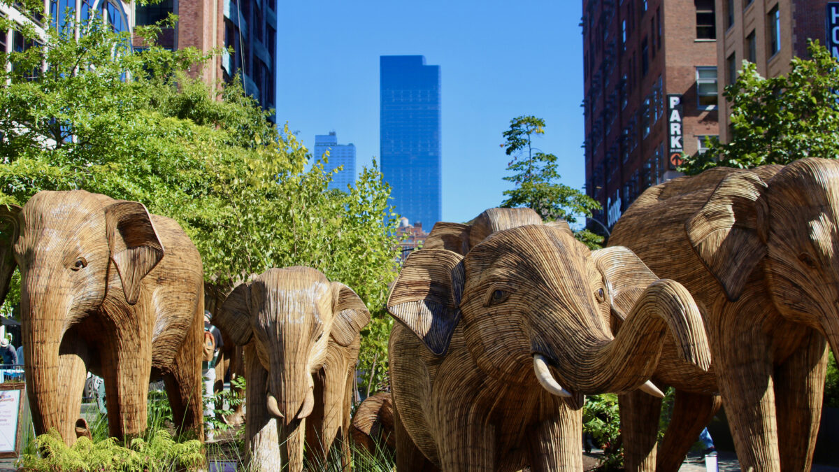 The Great Elephant Migration in New York City.