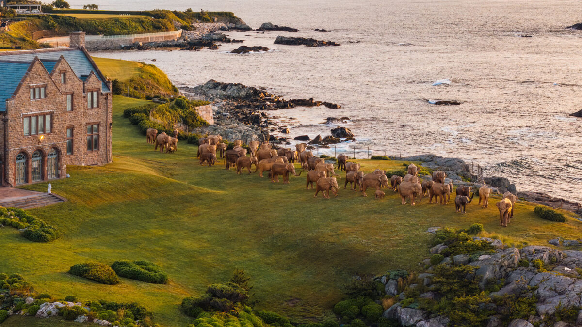 Aerial view of the Elephant Sculptures in Newport, RI.