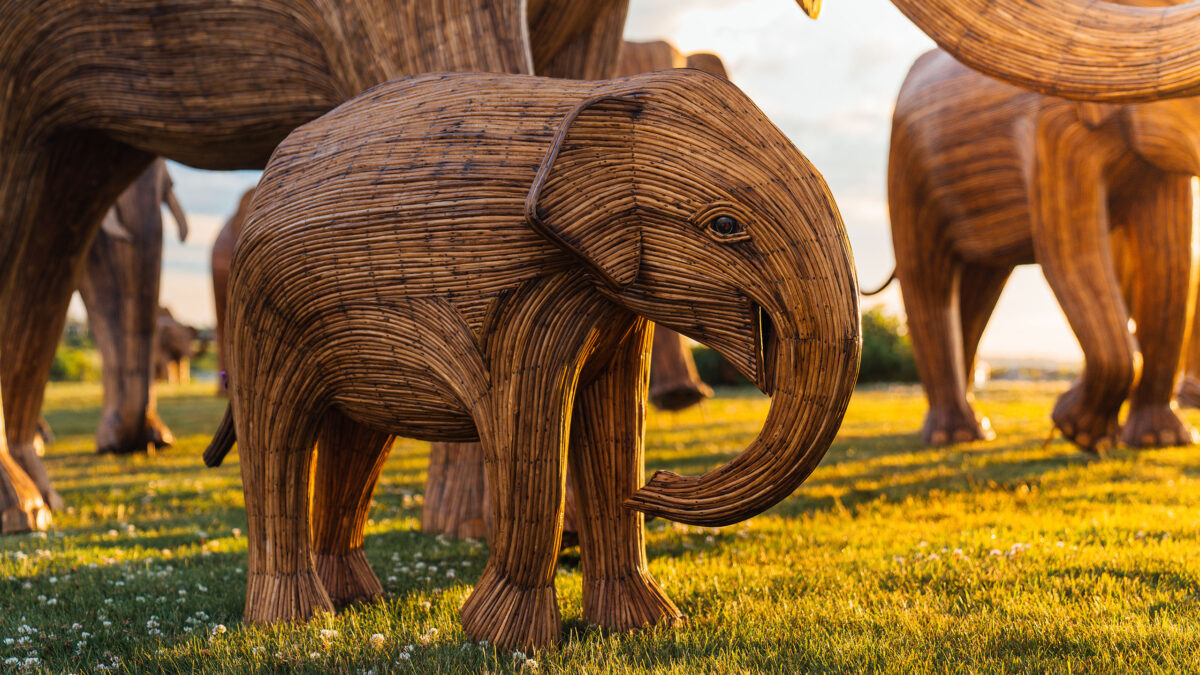 The Great Elephant Migration on the Cliff Walk in Newport, RI.