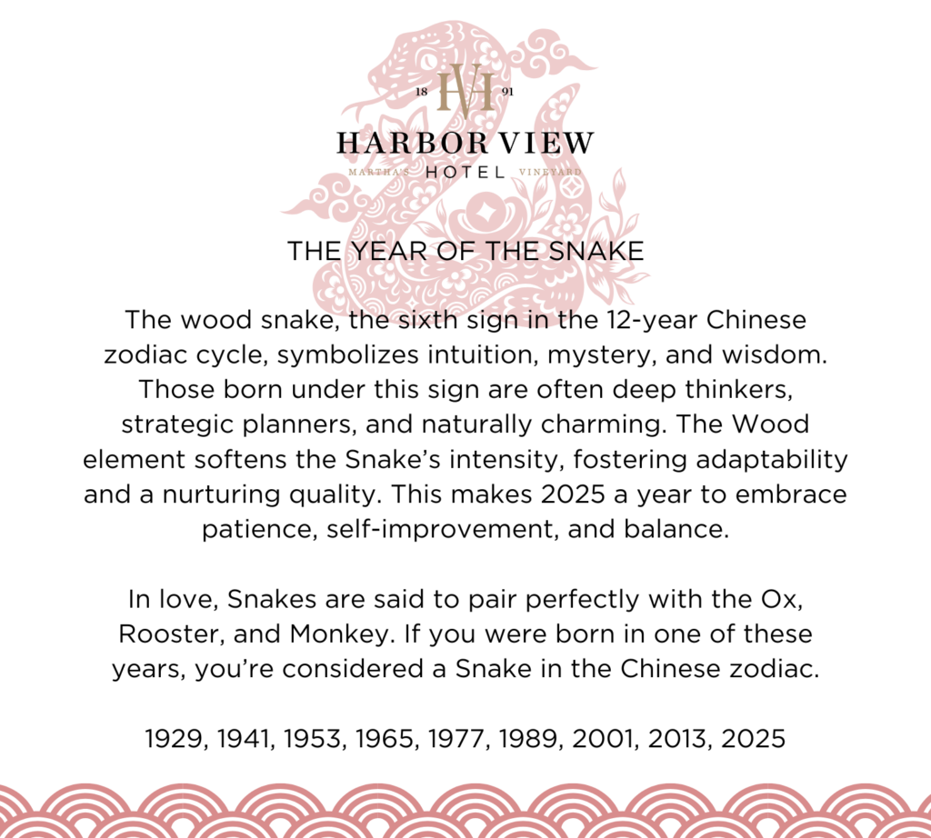 Chinese new year meaning