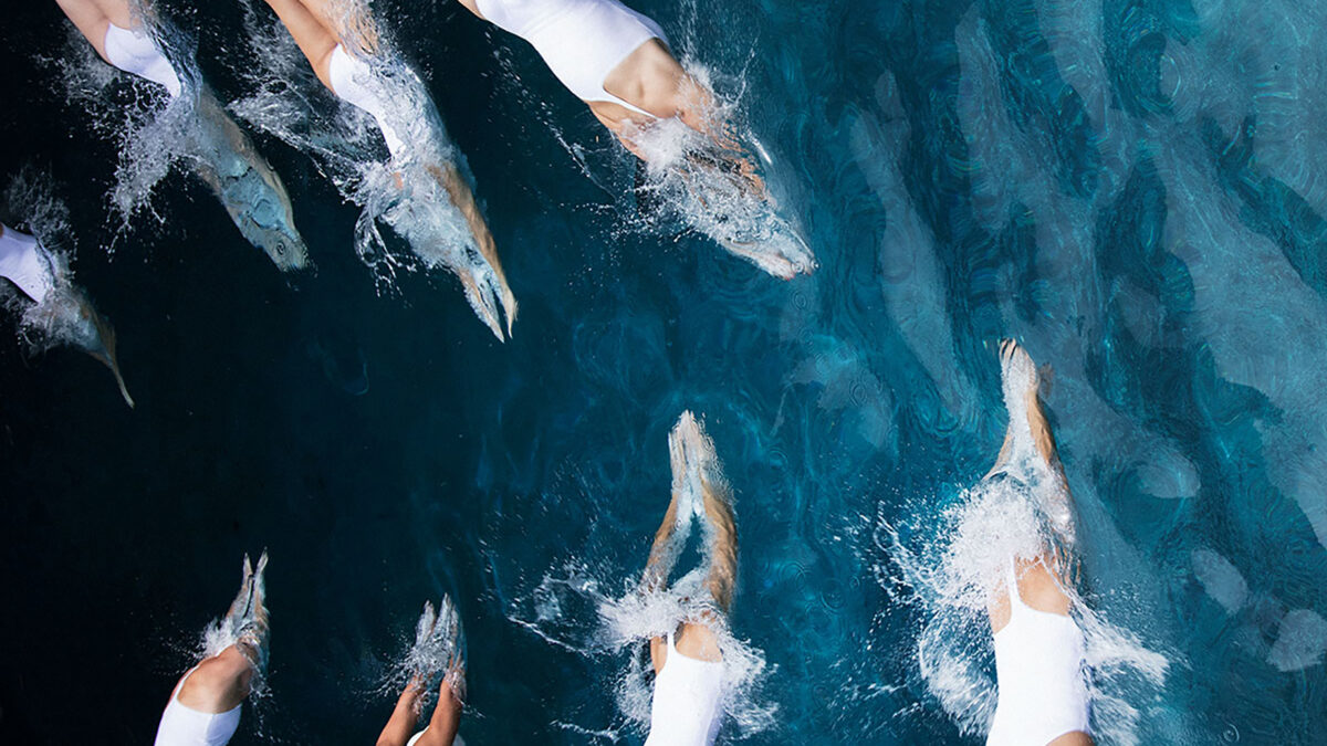 Aqualillies performers diving into the water.
