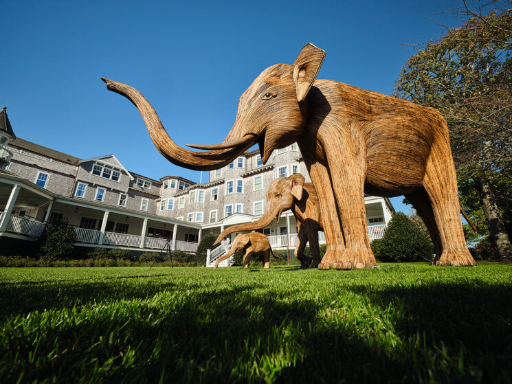 Elephant sculptures at Harbor View Hotel