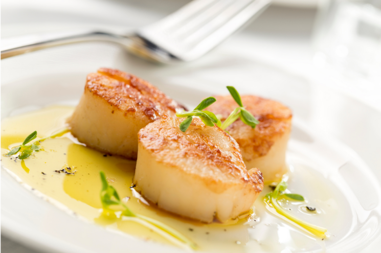 Seared Bay Scallops on a plate.